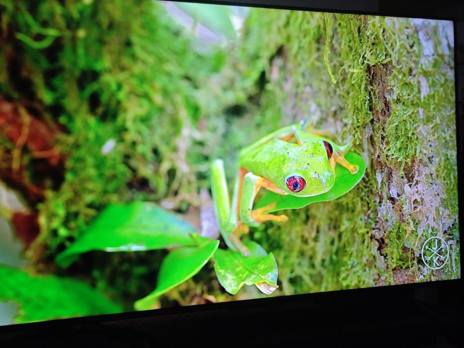 Телевизор TCL C655 55" 4K QLED