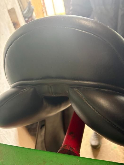 Sa dresaj Waldhausen 17.5