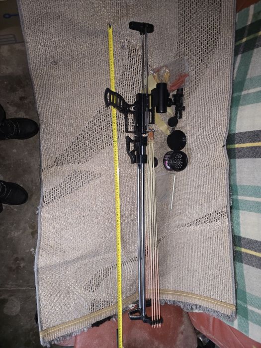 Prastie profesionala