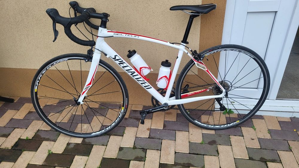 Semicursiera Specialized