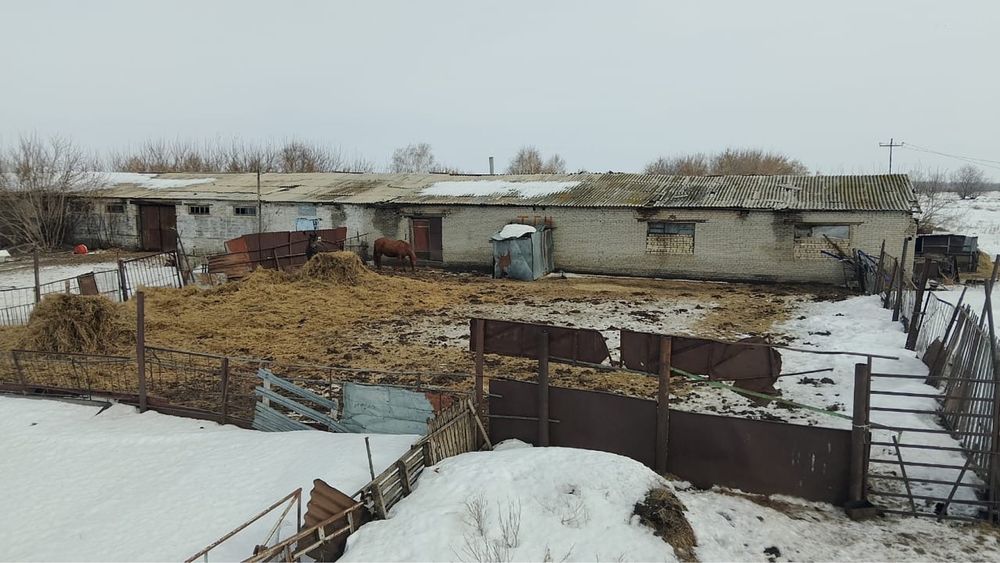 Продам базу / фермерское хозяйство