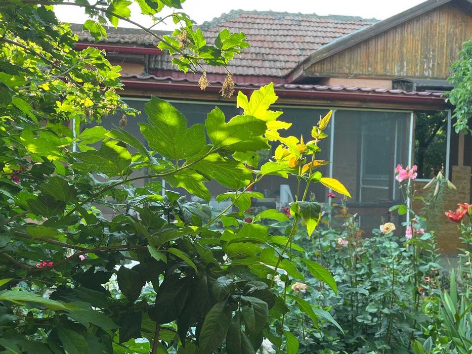 Casa de vanzare cu anexe (70mp + 80mp) - teren 2,000mp - Com. Grindu, Sat Pisica, Tulcea