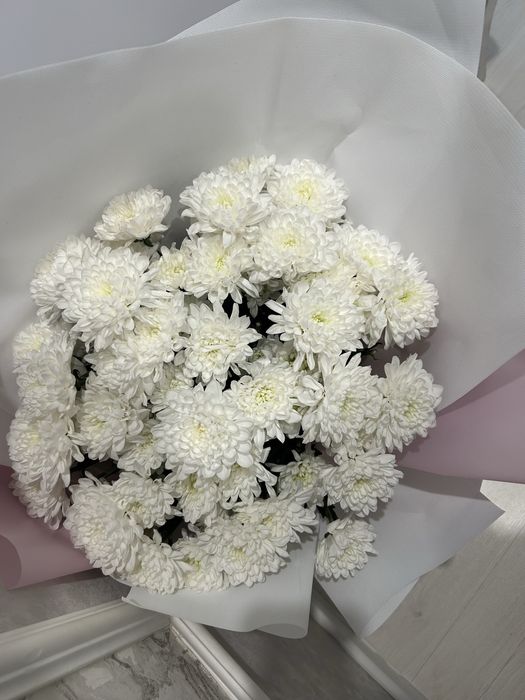 6 мың түнде келген