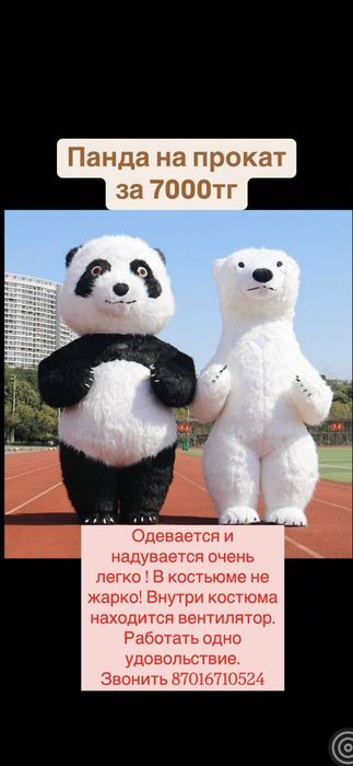 Прокат 7000 тг два костюма. Мишки Тедди. Мальчик и девочка