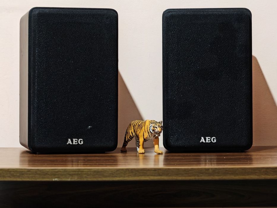 AEG DVD-4618. Boxe raft superbe. Sunet peste așteptări. Preț fix !