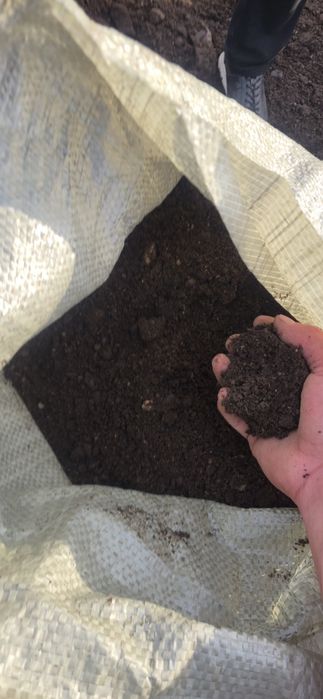 Чернозем плодородная земля