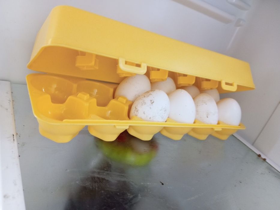 Контейнер для яиц