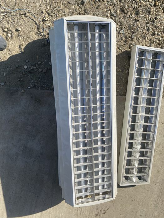 De vanzare corpuri neone plus neon