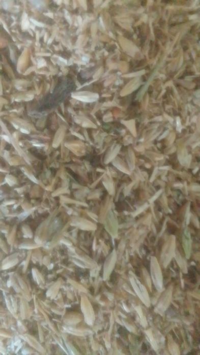 Отруби ОТХОДЫ Полова Сечка