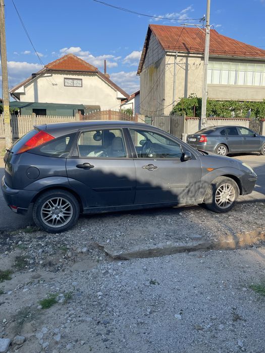 Vand ford focus wolf edition