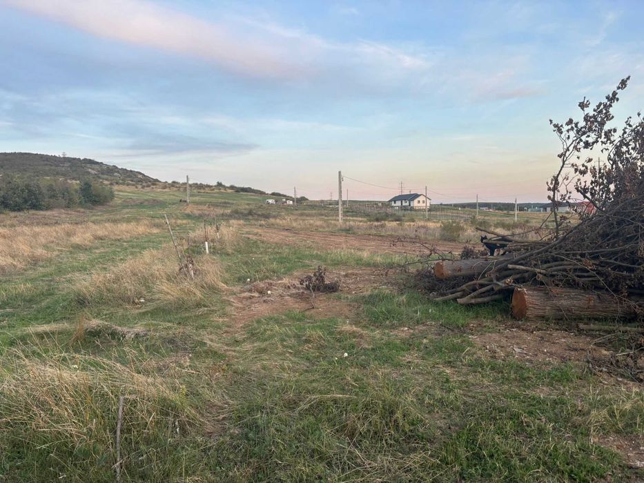 Vand teren intravilan in Betfia langa padure 1001 mp.