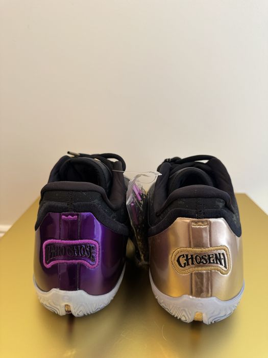Bascheti Nike Lebron 23 The Chosen One The One Who Chose 44,5