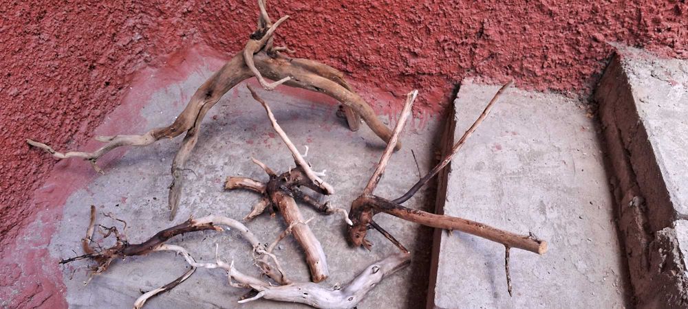 Коряги в аквариум