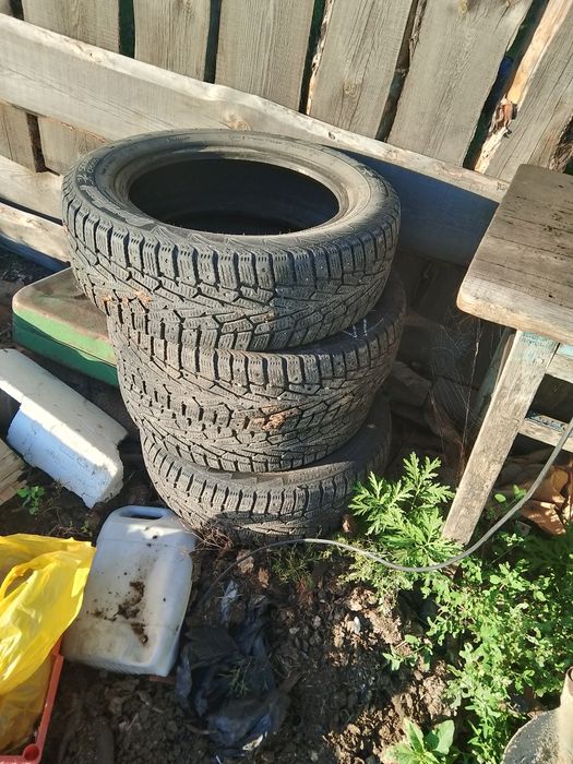 Шины Кордиант зима