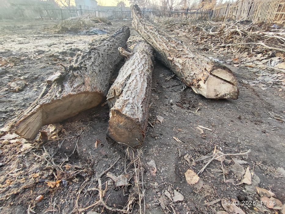 Продам дрова  САМОВЫВОЗ