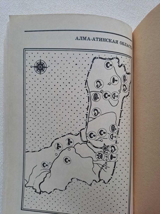 Книга Грибы в Казахстане