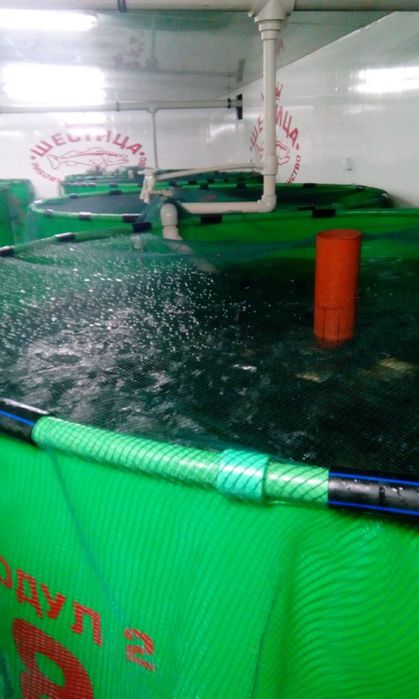 Заробител Есетра