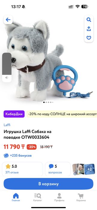 Собачка на поводке