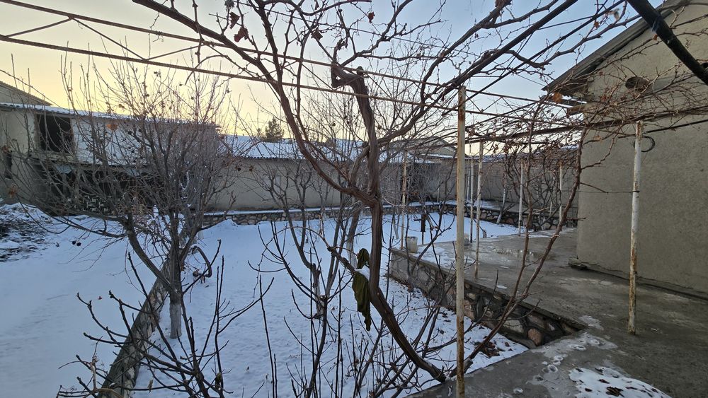 Ховли сотилади Шофиркон туманида !