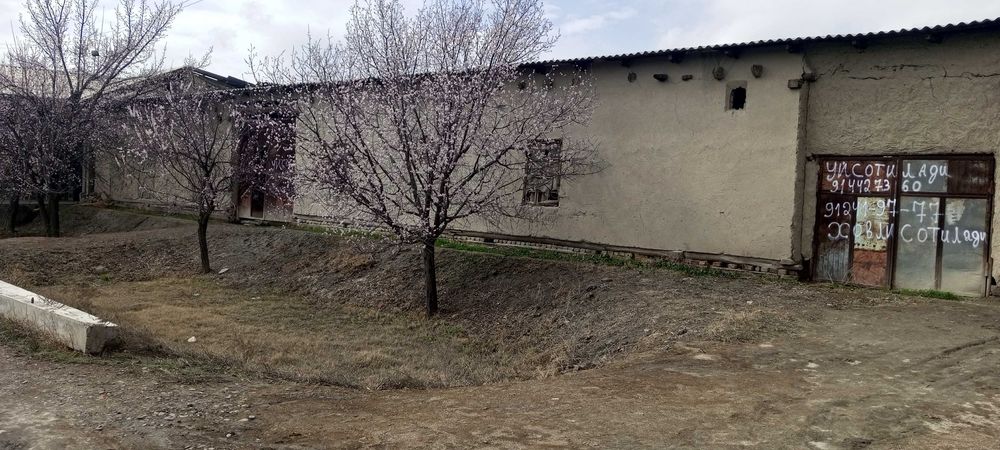 Xovli sotiladi 13 soʻtiq