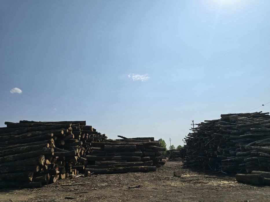 Lemn de foc uscat chiutuci sau sparte