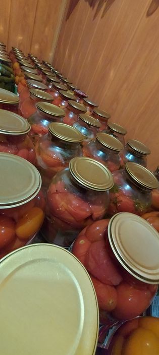 Продам вкусные помидоры