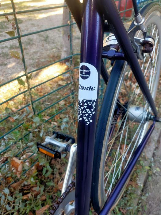 Bicicleta Retro Oras Pegas Clasic 3 Viteze Culoare Vânătă