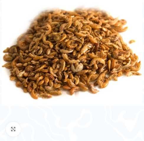 Замразена храна за аквариумни  риби от Чехия