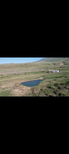 Продам фазенду продам