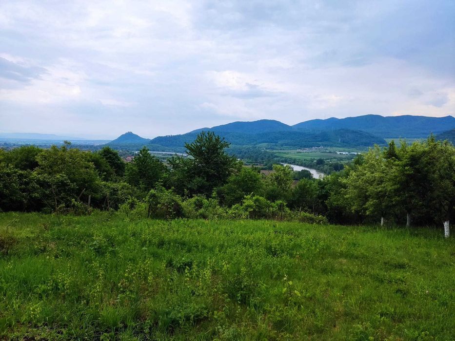 Teren 2.200 mp în Șoimuș – Livadă, Apă și Vedere la Cetate