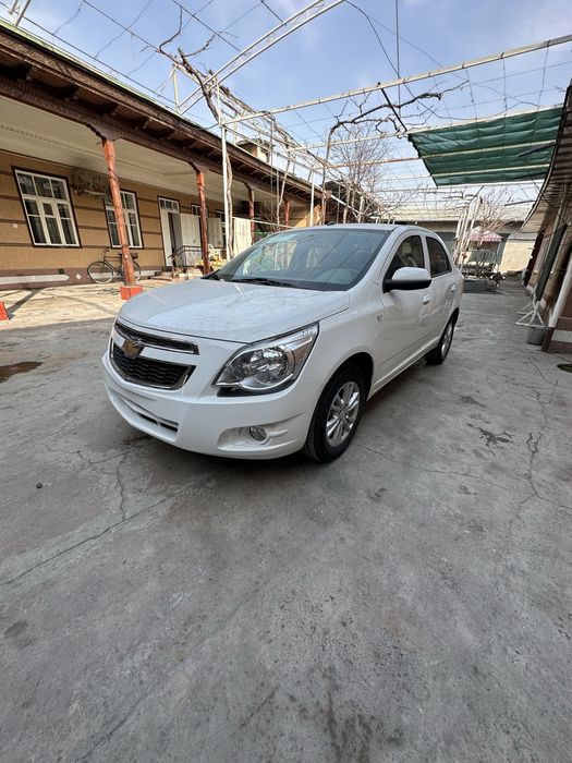 Cobalt Stayle sotiladi naxtga