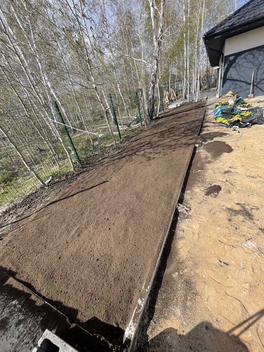 Газон посевной под ключ