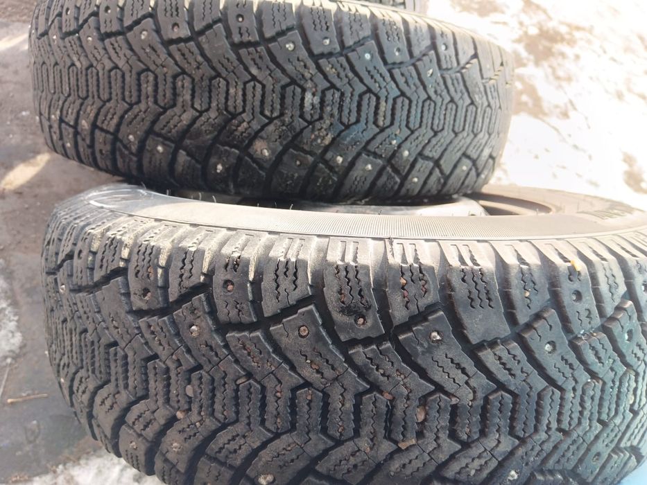 Зимняя резина tunga norbway