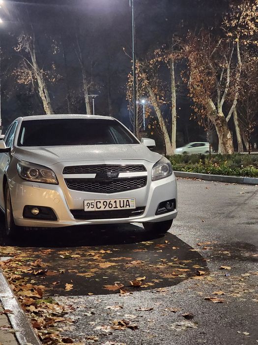 Malibu 1,  2014 avtamat