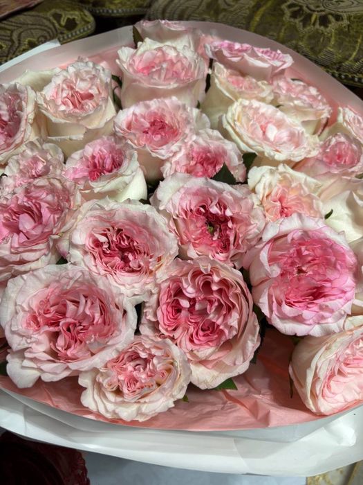 Цветы пионовидные розы