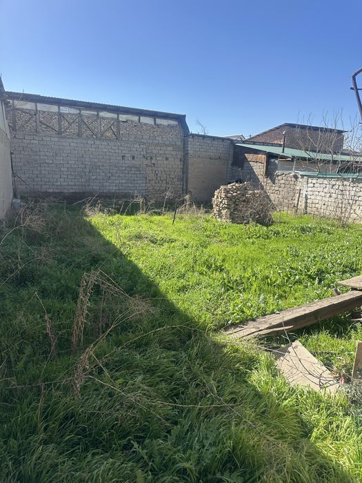 Oq uyda 4 soʻtik 31000 dan