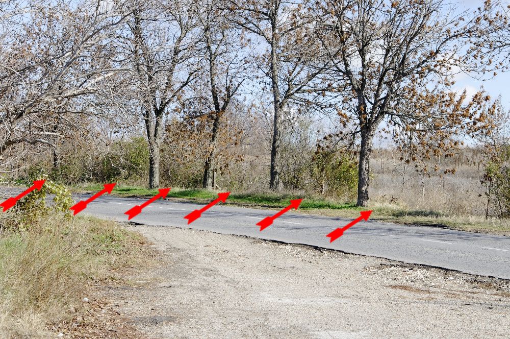 Продава се Парцел в с. Басарбово, Област Русе - 758 кв.м за 92 €/кв.м - Снимка #10