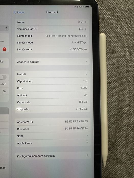 Ipad  11 Pro (FOARTE PUTINE ORE DE FUNCTIONARE) +husă originală+apple pen+folie