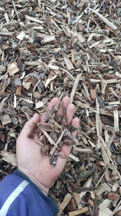 Дървесен чипс,мулч, талаш,стърготина,дървесни частици