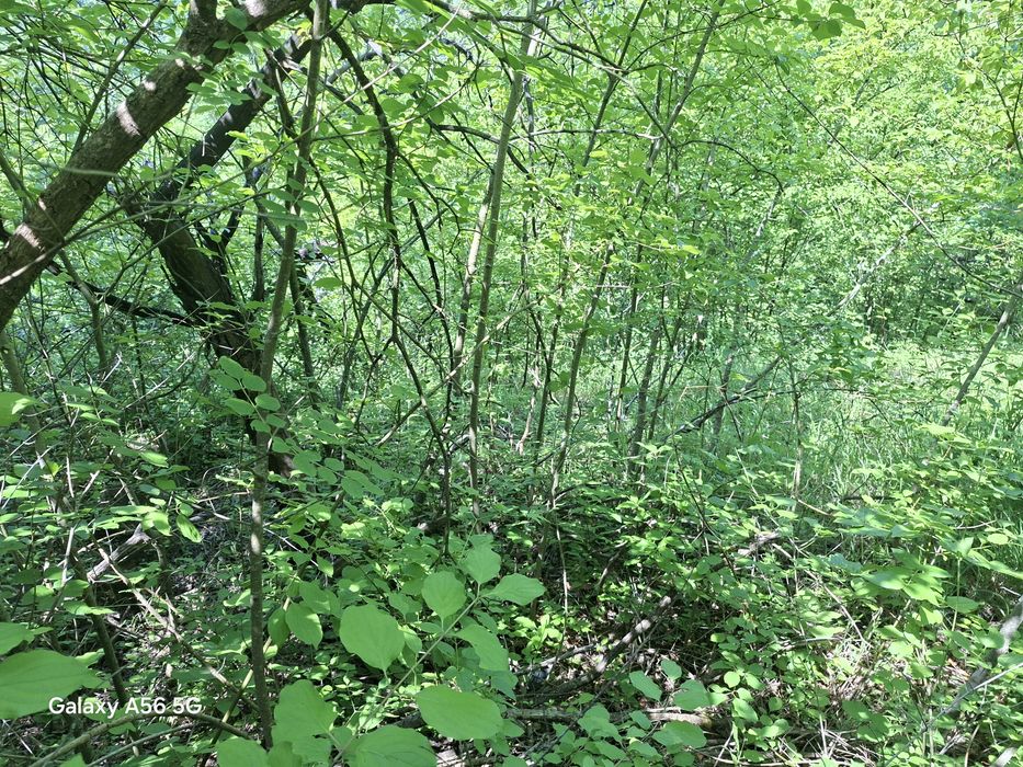 Продава се Къща в с. Гара Лакатник, Област София-област - 30 кв.м за 834 €/кв.м - Снимка #13