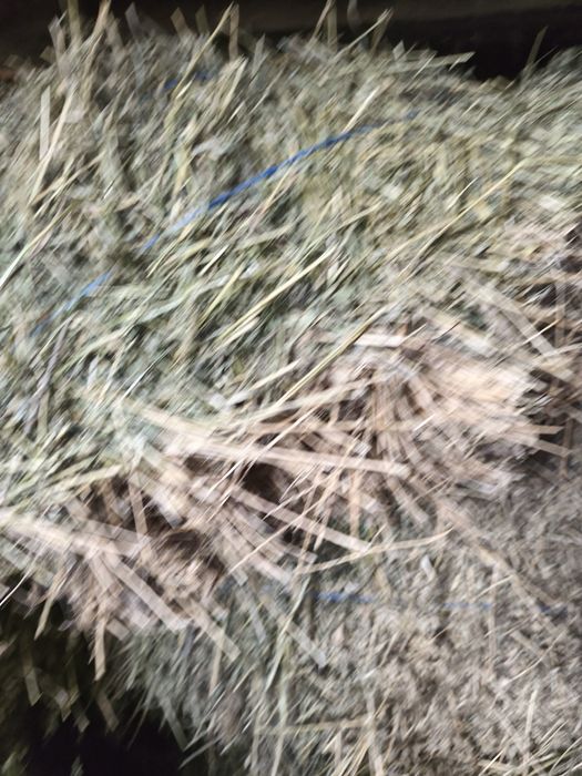 Baloți dreptunghiulari de vanzare