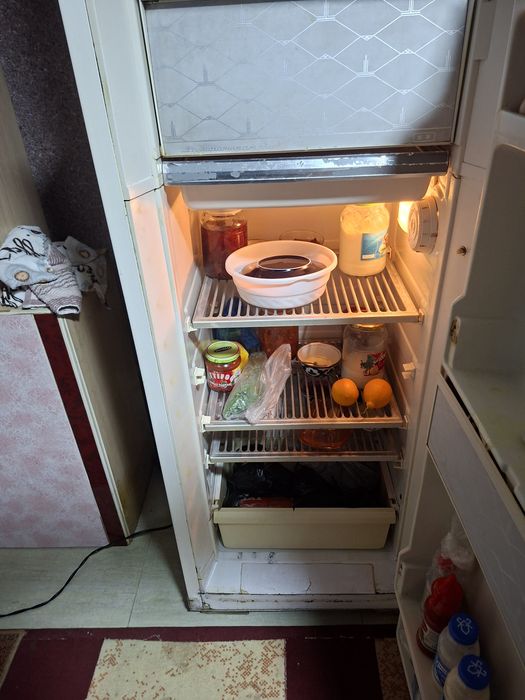 Холодильник российский