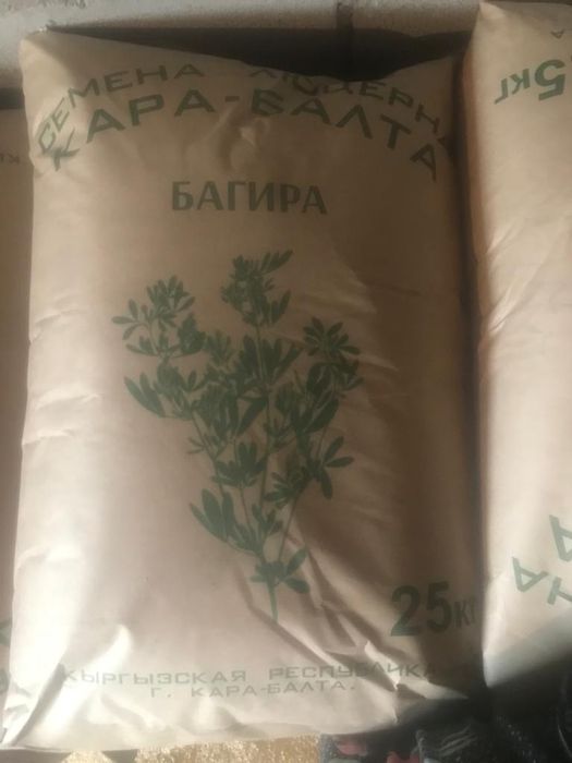 Продаю семена очень хорошие