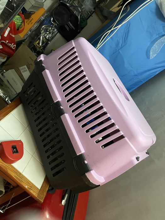 РЕЗЕРВИРАНО ДО 21.02 Котка всичко за 100€ прочети описание