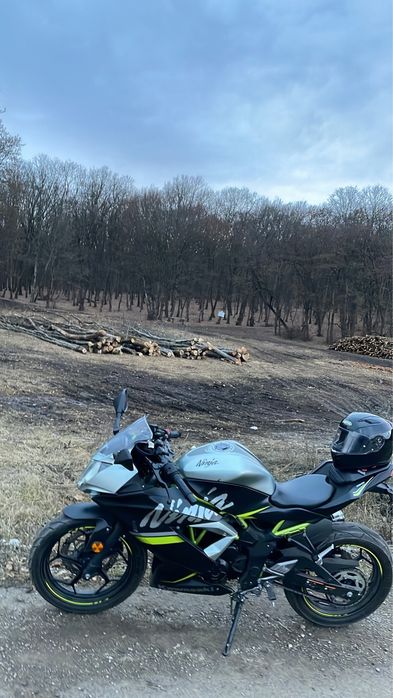 Kawasaki Ninja 125 (A1 sportiva)