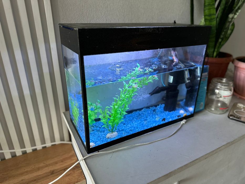 Аквариум с насатками