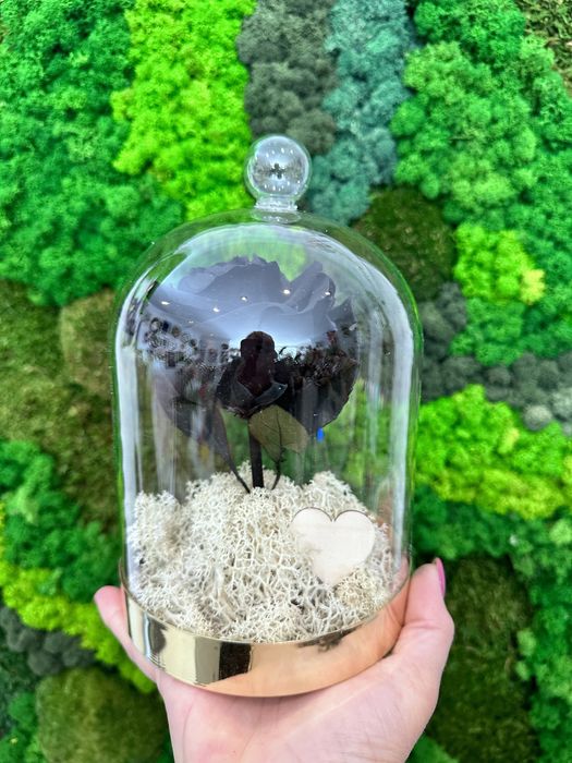 Cadouri Trandafiri criogenati