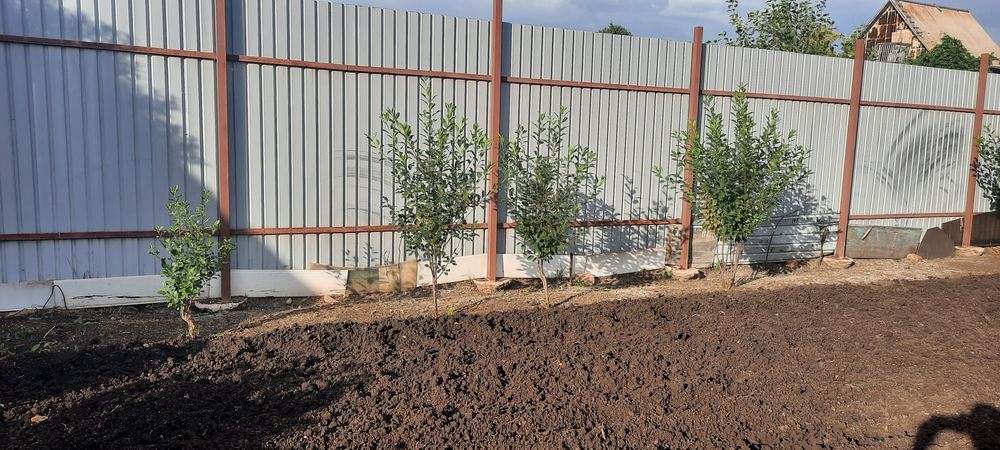 Продам дачный участок 6 соток