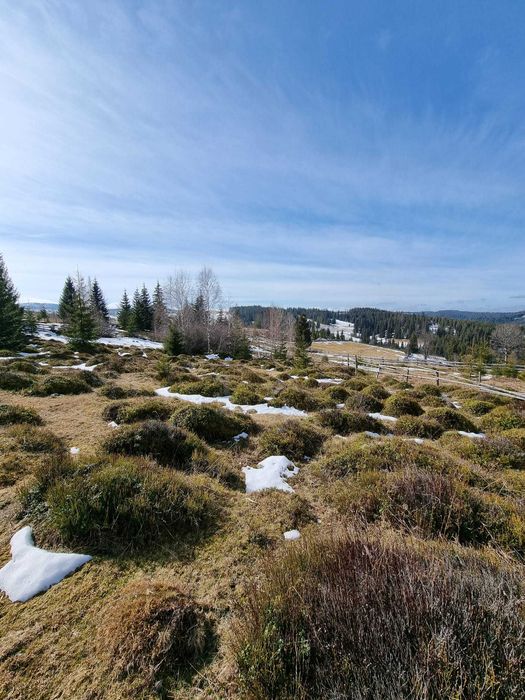 Vand Teren in sat Maguri, com. Maguri Racatau