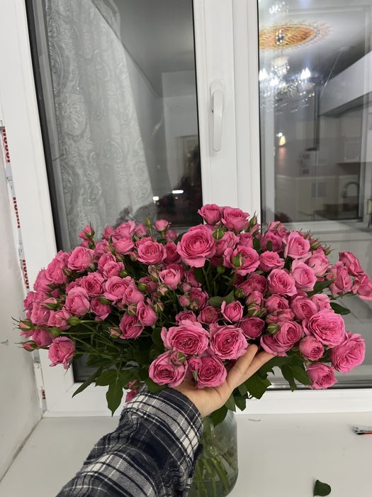 Цветы, свежие Кустовые розы